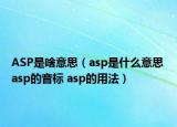 ASP是啥意思（asp是什么意思 asp的音標 asp的用法）