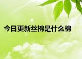 今日更新絲棉是什么棉
