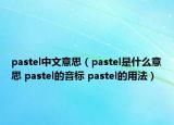 pastel中文意思（pastel是什么意思 pastel的音標(biāo) pastel的用法）