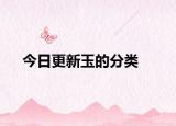 今日更新玉的分類
