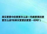 果實累累中的累累怎么讀（傷痕累累的累累怎么讀?和果實累累的累累一樣嗎?）