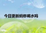 今日更新螞蚱喝水嗎