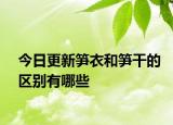今日更新筍衣和筍干的區(qū)別有哪些