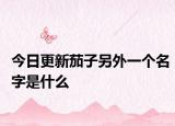 今日更新茄子另外一個(gè)名字是什么