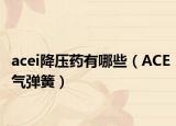 acei降壓藥有哪些（ACE氣彈簧）