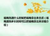 楊梅泡酒什么時候把楊梅拿出來合適（楊梅酒泡多長時間可以把楊梅拿出來詳細介紹）