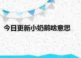 今日更新小奶鵝啥意思