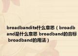 broadbandits什么意思（broadband是什么意思 broadband的音標 broadband的用法）