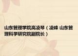 山東管理學(xué)院高凌琴（凌峰 山東管理科學(xué)研究院副院長(zhǎng)）