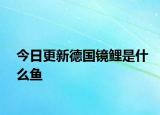 今日更新德國鏡鯉是什么魚