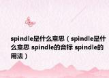 spindle是什么意思（spindle是什么意思 spindle的音標 spindle的用法）