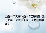 上面一個(gè)大字下面一個(gè)力字念什么（上面一個(gè)大字下面一個(gè)力字念什么）