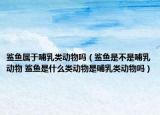 鯊魚屬于哺乳類動(dòng)物嗎（鯊魚是不是哺乳動(dòng)物 鯊魚是什么類動(dòng)物是哺乳類動(dòng)物嗎）