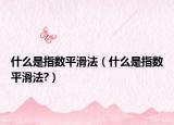 什么是指數(shù)平滑法（什么是指數(shù)平滑法?）
