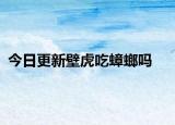今日更新壁虎吃蟑螂嗎