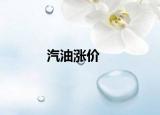 汽油漲價