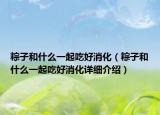 粽子和什么一起吃好消化（粽子和什么一起吃好消化詳細介紹）