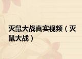 滅鼠大戰(zhàn)真實(shí)視頻（滅鼠大戰(zhàn)）