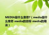MEDIA是什么意思?（media是什么意思 media的音標(biāo) media的用法）