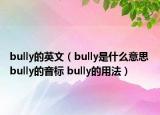 bully的英文（bully是什么意思 bully的音標 bully的用法）