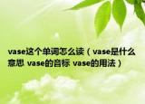 vase這個單詞怎么讀（vase是什么意思 vase的音標 vase的用法）