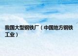 我國大型鋼鐵廠（中國地方鋼鐵工業(yè)）