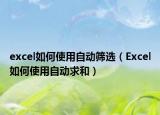 excel如何使用自動篩選（Excel如何使用自動求和）