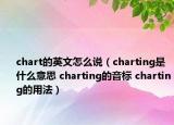 chart的英文怎么說（charting是什么意思 charting的音標 charting的用法）