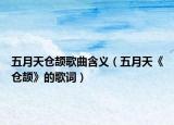 五月天倉頡歌曲含義（五月天《倉頡》的歌詞）