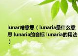 lunar啥意思（lunaria是什么意思 lunaria的音標 lunaria的用法）