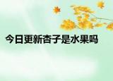 今日更新杏子是水果嗎