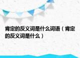 肯定的反義詞是什么詞語（肯定的反義詞是什么）