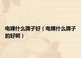 電媒什么牌子好（電媒什么牌子的好?。? /></span></a>
                        <h2><a href=