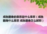 咸魚(yú)翻身的意思是什么意思（咸魚(yú)翻身什么意思 咸魚(yú)翻身怎么解釋）