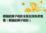 賴貓的獅子倒影全集在線免費(fèi)觀看（賴貓的獅子倒影）