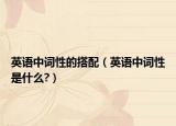 英語中詞性的搭配（英語中詞性是什么?）
