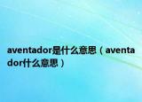 aventador是什么意思（aventador什么意思）