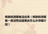 核酸檢測報告沒出來（核酸檢測報告一直沒有出結(jié)果該怎么辦詳細介紹）