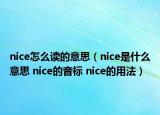 nice怎么讀的意思（nice是什么意思 nice的音標 nice的用法）