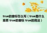 true的音標怎么寫（true是什么意思 true的音標 true的用法）