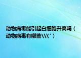 動(dòng)物病毒能引起白細(xì)胞升高嗎（動(dòng)物病毒有哪些\