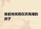 誰能說說現(xiàn)在濱海湖的房子