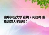 曲阜師范大學(xué) 張梅（何紅梅 曲阜師范大學(xué)教師）