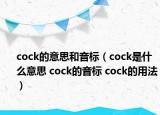 cock的意思和音標(biāo)（cock是什么意思 cock的音標(biāo) cock的用法）