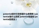 potential的中文意思是什么意思?。╬otential是什么意思 potential的音標 potential的用法）