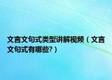 文言文句式類型講解視頻（文言文句式有哪些?）