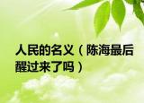 人民的名義（陳海最后醒過(guò)來(lái)了嗎）