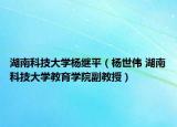 湖南科技大學(xué)楊繼平（楊世偉 湖南科技大學(xué)教育學(xué)院副教授）