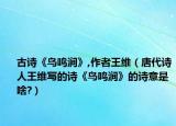 古詩(shī)《鳥(niǎo)鳴澗》,作者王維（唐代詩(shī)人王維寫的詩(shī)《鳥(niǎo)鳴澗》的詩(shī)意是啥?）