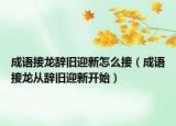 成語接龍辭舊迎新怎么接（成語接龍從辭舊迎新開始）